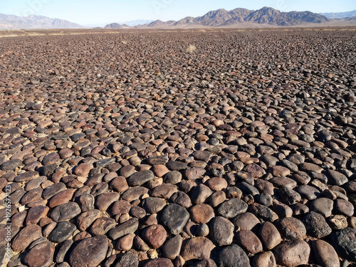 Vast desert landscape covered in countless smooth, dark pebbles under a clear blue sky.