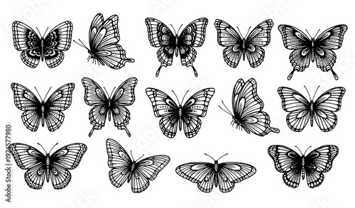 Ornamental black and white butterfly collection with dotted wing patterns in circular layout