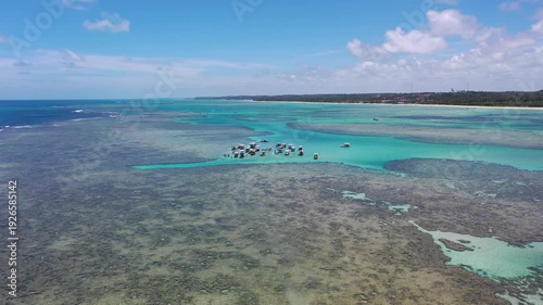 Amazing view of dozens of small boats in the natural pools among the coral reefs of Milagres beach near Maceio city, coast of Brazil 