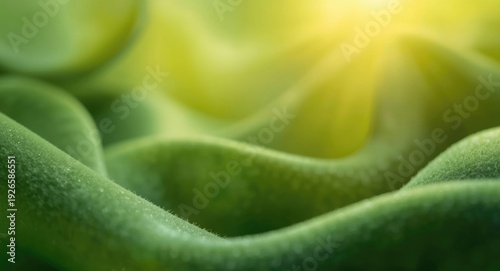 Sunlit green abstract natural background with soft texture and glowing highlights