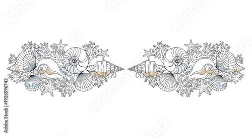 Nautical Shell Border Illustration - Seashells, Starfish, and Coral Line Art