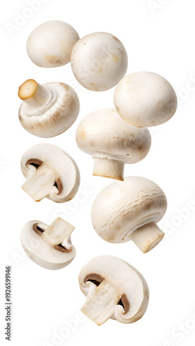 Falling white button mushrooms isolated on transparent background