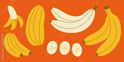 Stylized illustration of bananas in varying stages of ripeness