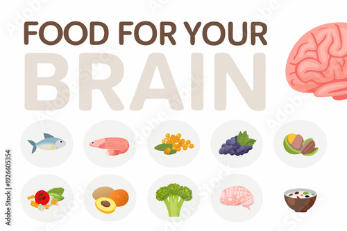 Food for brain health colorful illustrations of nutritious food options