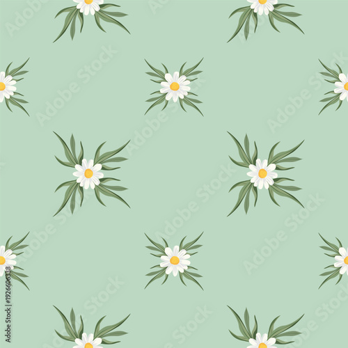 Seamless square vector pattern with white daisy flowers on light green pistachio background. Spring floral repeat design for textile and decor.