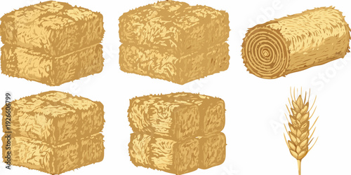 Illustration of hay bales and wheat stalks on a white background