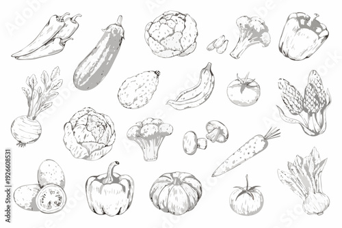 A monochrome sketch featuring a variety of fresh vegetables and fruits