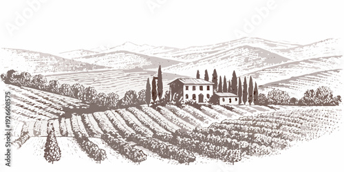 Sketch of a rural italian landscape with vineyards and distant mountains