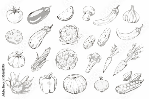 A collection of hand drawn vegetables and fruits in grayscale