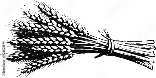 A detailed black and white illustration of bundled wheat stalks