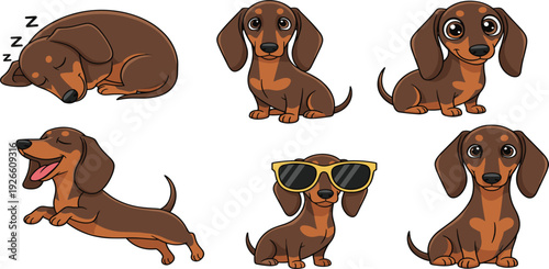 Cute Dachshund Sausage Dog Character Set with Different Poses and Expressions, Brown Doxie Puppy Wearing Sunglasses and Sleeping for Stickers and Web Design