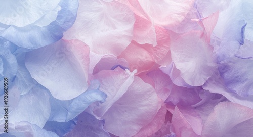 flower petal texture background with subtle blue pink purple color mix