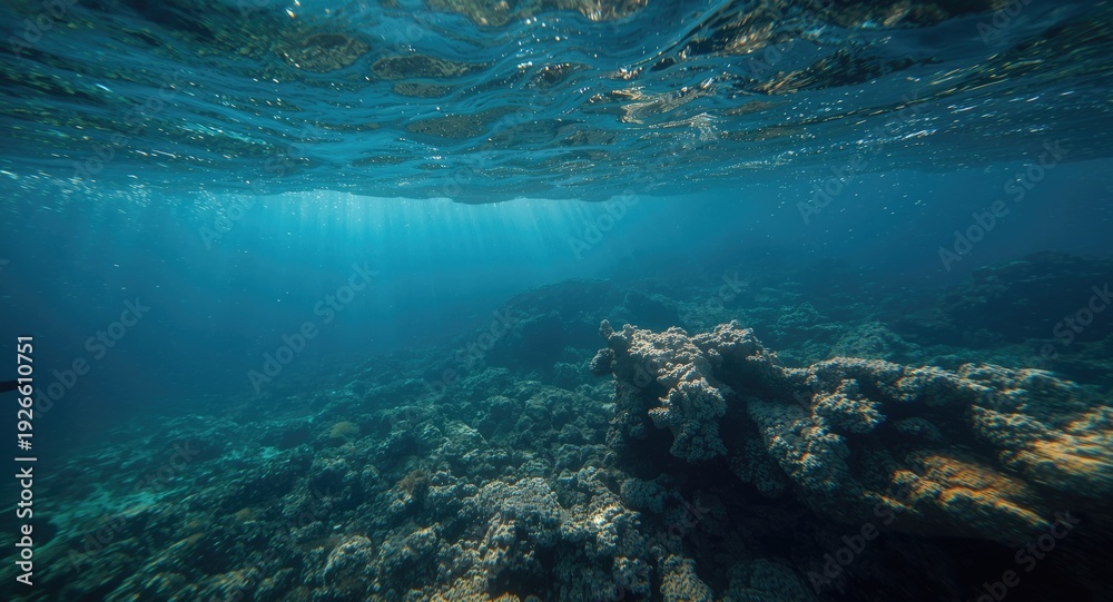 Fototapeta premium Oceanic rugged underwater terrain lit by vibrant sunrays