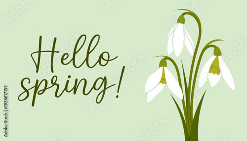 Flat style banner with white snowdrops and lettering "Hello Spring." Spring banner for greetings, social media and web. Flat vector illustration.