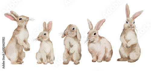 Tableau sur toile Clip art set of bunnies and chicks. Easter chicks.