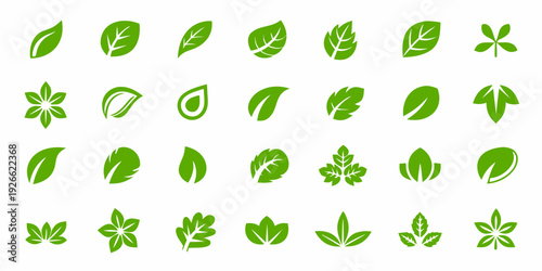 Collection of diverse green leaf and plant element illustrations