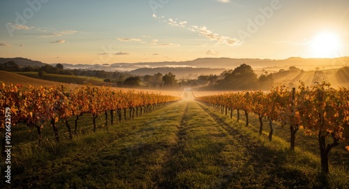 Tranquil vineyard grounds g...