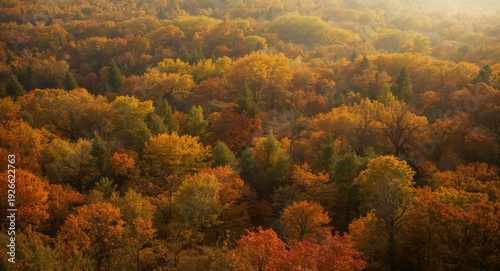 Grand forest landscape in v...