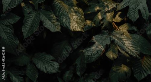 Olive toned tropical leaves...