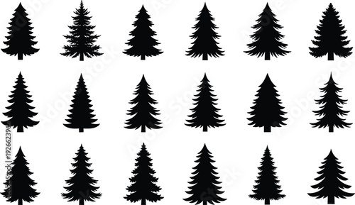 Set of pine tree silhouettes, evergreen conifer vector icons, forest fir and spruce collection for winter nature and Christmas design.