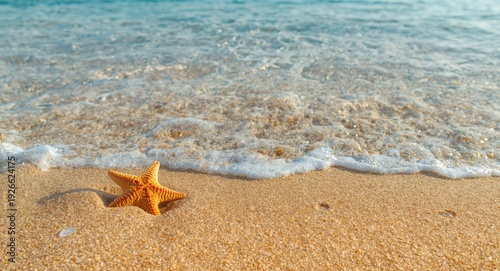 Playful starfish enjoying s...