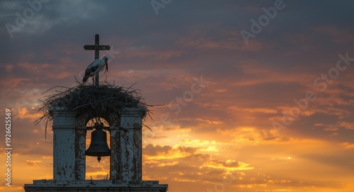 Stork nesting on a weathere...