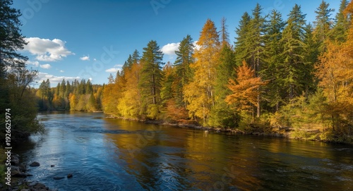 Scenic forest beside a flow...