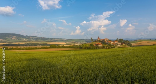 Overhead shot of agricultur...