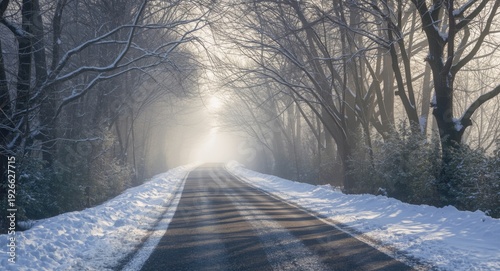 Winter scene of snow covere...