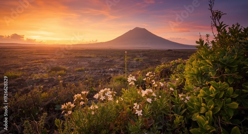 Sunrise coloring a volcanic...