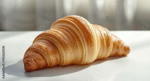 Traditional croissant paint...