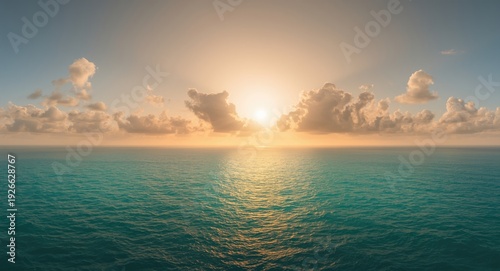 Sunlight filtering through ...