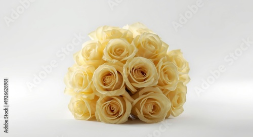Yellow rose bouquet isolated on a pristine white background