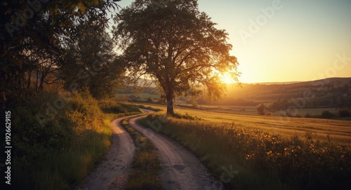 Winding dirt road edged by ...