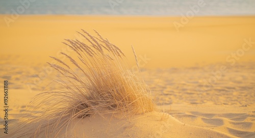 Soft pastel palette showing...