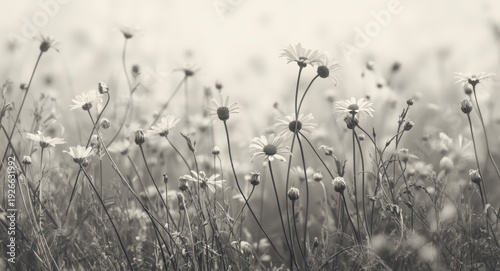 handcrafted pencil sketch o...