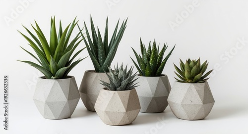 Artisanal plant decor produ...