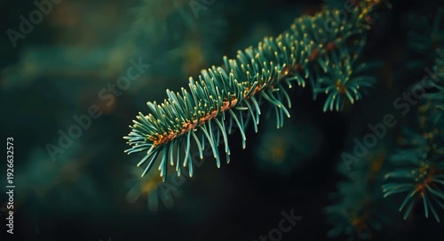 Magnified view of a vibrant...