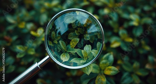 Magnifying glass over vibra...