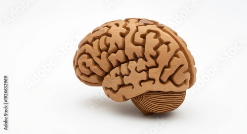 Wooden brain block design r...