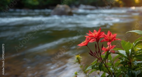 Glowing red Asoka Adelia fl...
