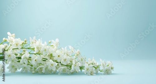 Studio light blue backdrop ...