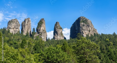Idyllic forest scene with p...