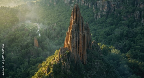 Distinct organ pipe shaped ...