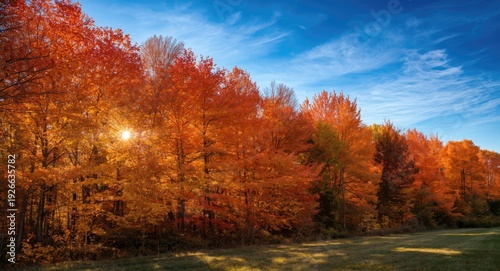 Nature appreciation scene w...