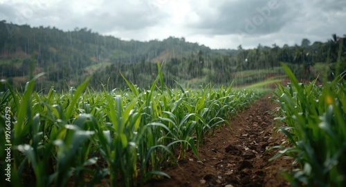 Sustainable farming highlig...
