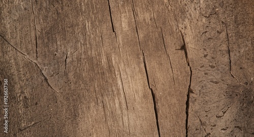 close up of rough aged brow...