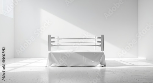 Professional empty boxing r...