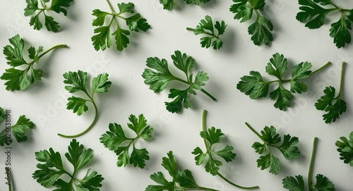 Parsley leaves arranged fla...