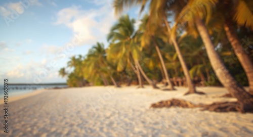 Tropical sandy beach blurre...